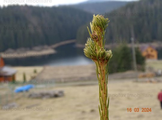 Exclusivitate! Teren Superb cu vedere la lacul Belis