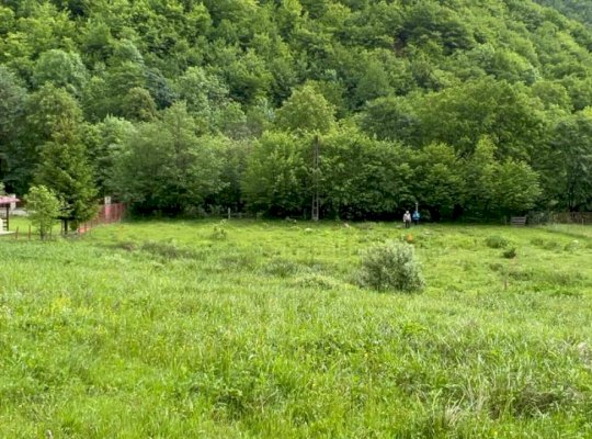 Oaza de liniste in Marisel! Teren intravilan