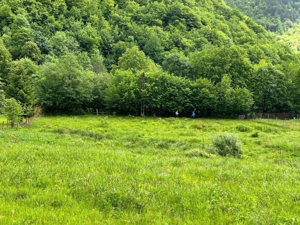 Oaza de liniste in Marisel! Teren intravilan