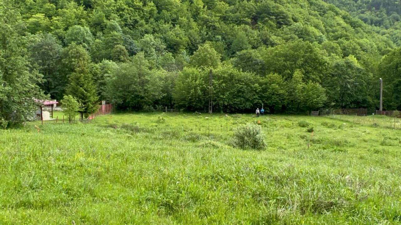 Oaza de liniste in Marisel! Teren intravilan