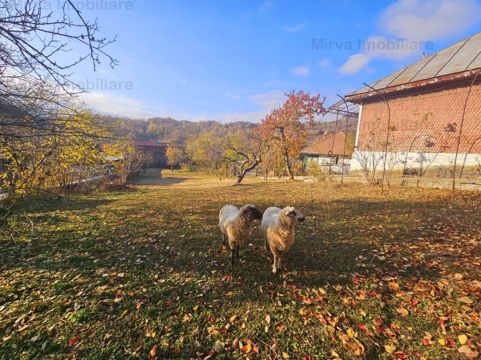 Vanzare casa, in Sat Batrani, priveliste superba