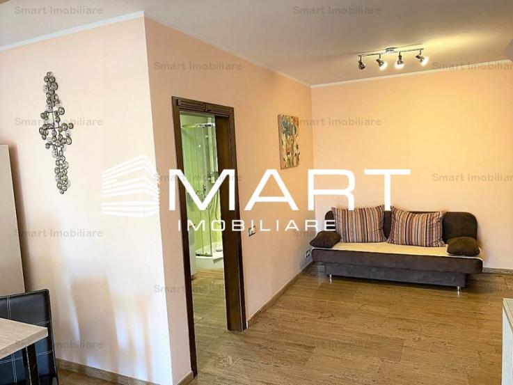 Apartament modern  2 camere zona Sub Arini