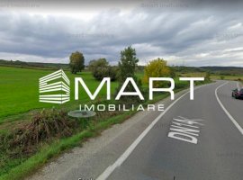 Teren extravilan 42000MP Seica Mare - Sibiu