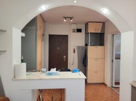 Apartament 2 camere, confort 1, parcul Gradina Engleza - 10 min Iancului Metrou