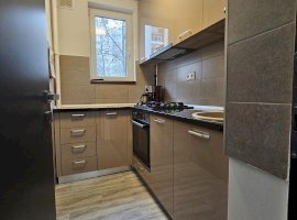 Apartament 4 camere de vanzare Raul Doamnei