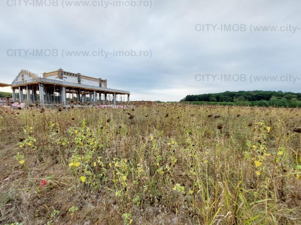 Vanzare teren constructii Localitatea Snagov Sat Ciofliceni, Jud Ilfov