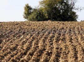 Vand Teren Agricol comuna Dragoesti -  Judetul Ialomita