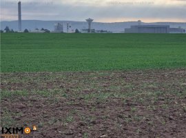 Vanzare teren agricol 15000mp, Nord, Bacau