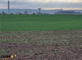 Vanzare teren agricol 15000mp, Nord, Bacau