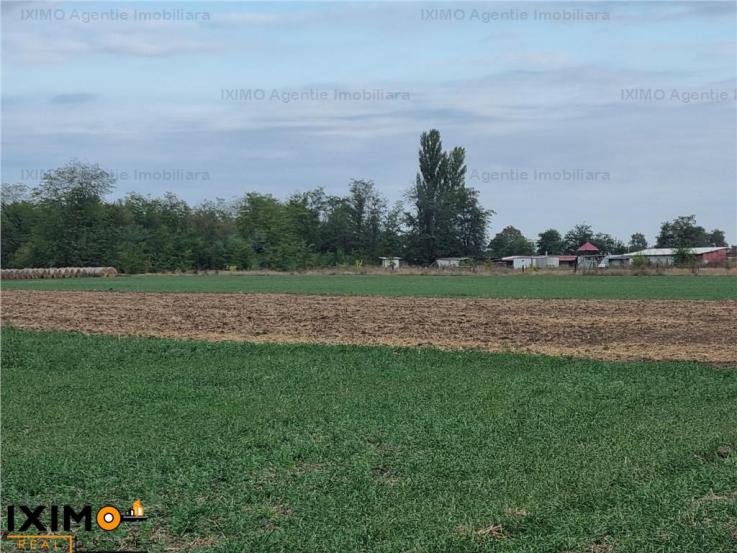 Vanzare teren agricol 15000mp, Nord, Bacau