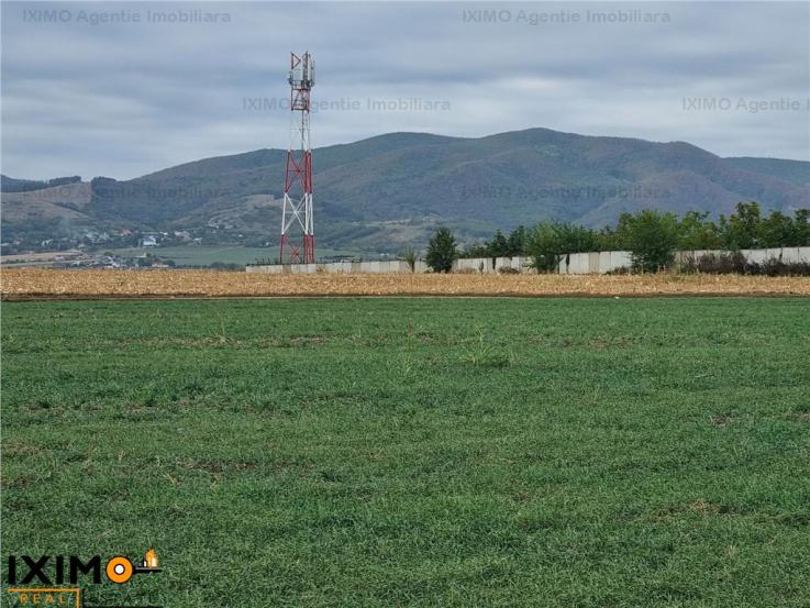 Vanzare teren agricol 15000mp, Nord, Bacau