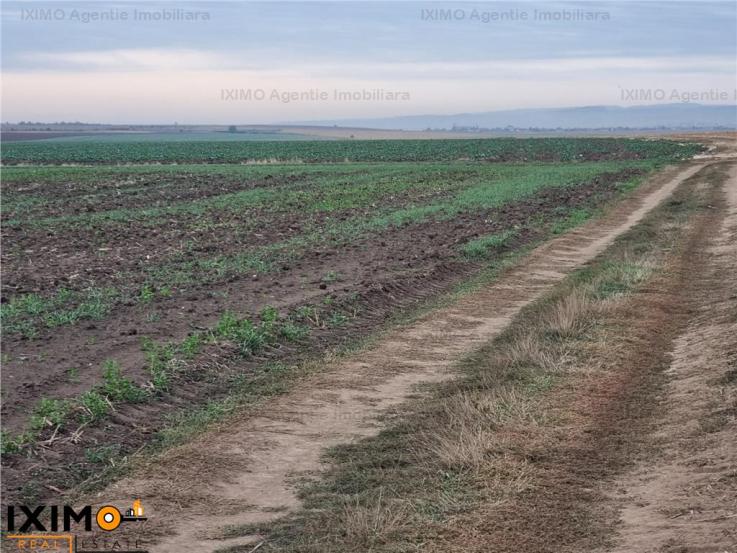 Vanzare teren agricol 15000mp, Nord, Bacau