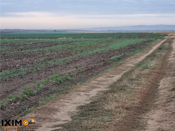 Vanzare teren agricol 15000mp, Nord, Bacau