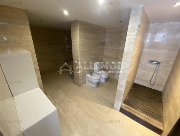 Penthouse, 5 camere, piscina proprie, zona  Kiseleff - Arcul de Triumf.