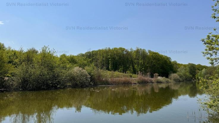 Vanzare teren constructii 15840mp, Silistea Snagovului, Silistea Snagovului