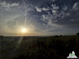 Teren intravilan Palazu Mare-zona linistita-vedere lac