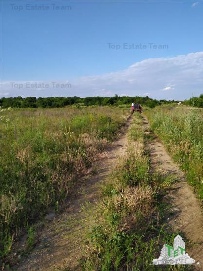 Teren intravilan de vanzare 28.200 mp Bucuresti Sector 6