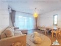 Apartament 3 Camere cu Curte Aviatiei Pet friendly