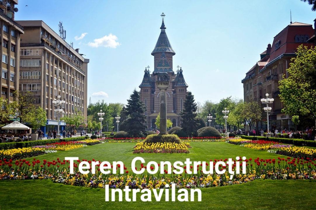 Teren, Timișoara, Torontalului, VOX