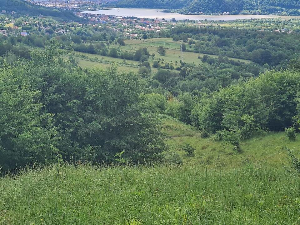 Spectacol - teren zona Bisericani - Alexandru cel Bun