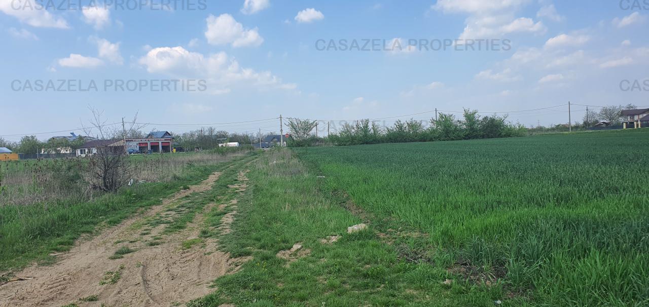 Teren intravilan 9589 mp , Niculesti ( zona Movila ) Dambovita