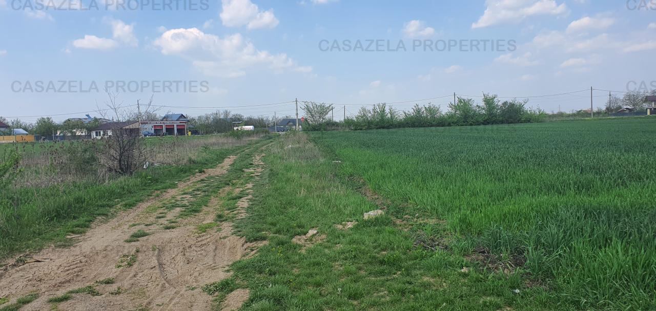 Teren intravilan 9589 mp , Niculesti ( zona Movila ) Dambovita