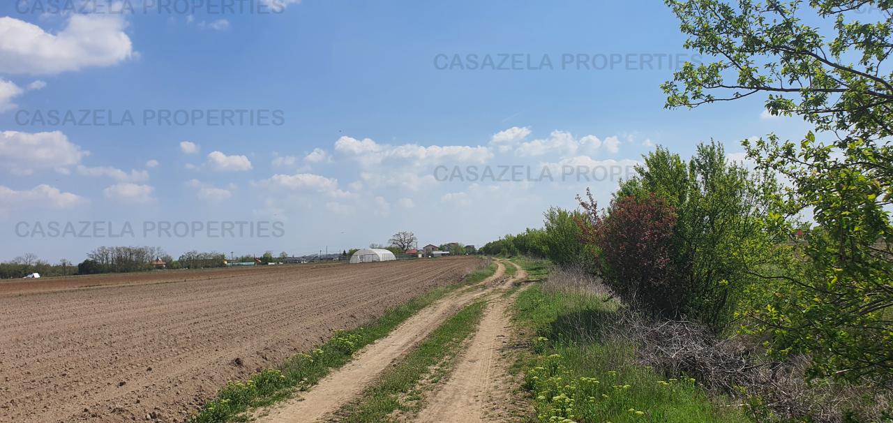 Teren intravilan 8000 mp Darza (cale ferata ) jud.Dambovita