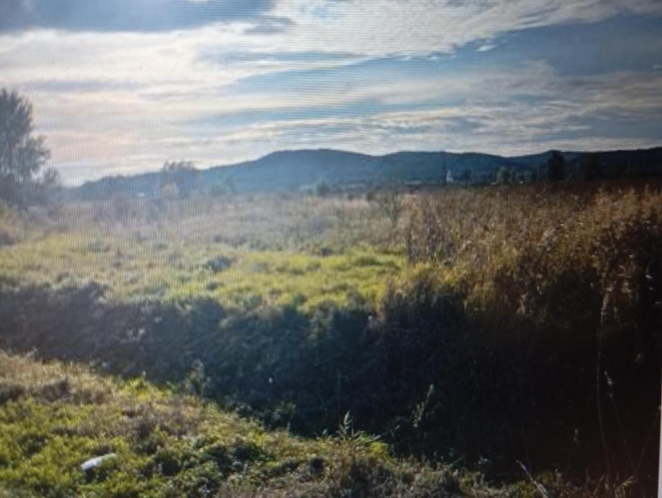 Teren agricol in Magura_jud Valcea