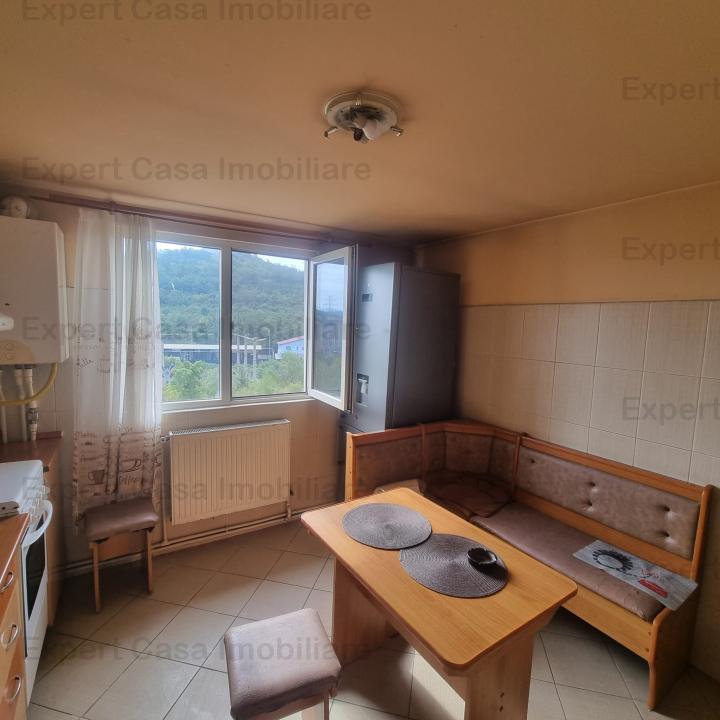 Apartament 2 camere. Nicolina 2. Strada libertatii 