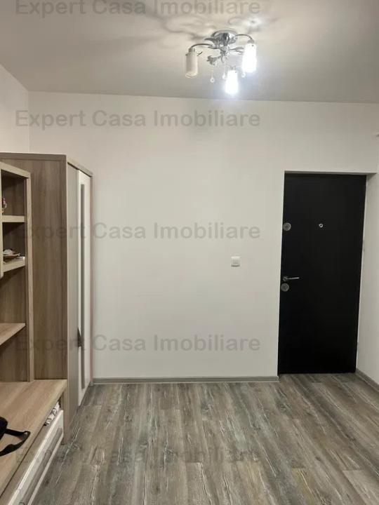 Apartament cu 1 camera,Bucium-Visani