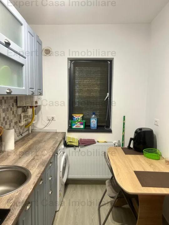 Apartament cu 1 camera,Bucium-Visani