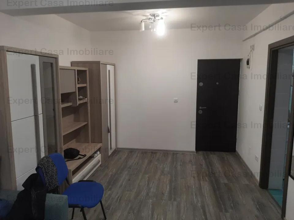 Apartament cu 1 camera,Bucium-Visani