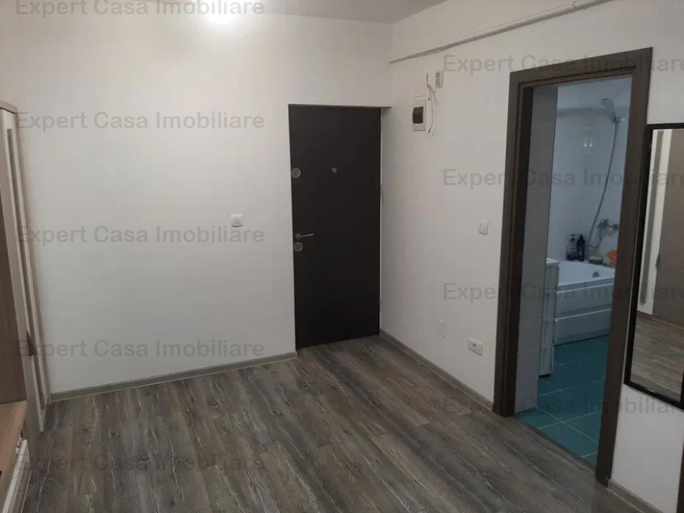 Apartament cu 1 camera,Bucium-Visani