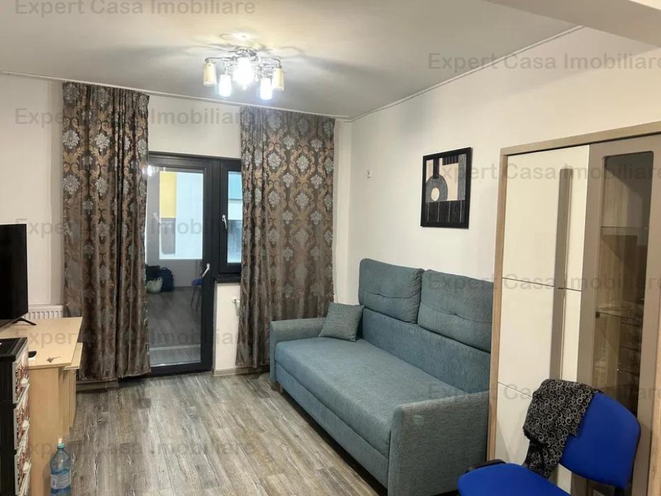 Apartament cu 1 camera,Bucium-Visani