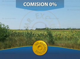 Teren Extravilan 10.000 mp Parvu Rosu - Comision 0%