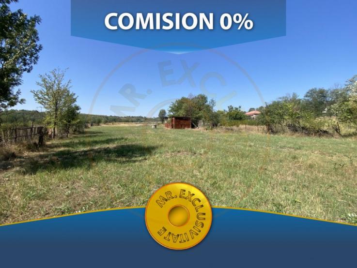 Teren 13329 mp in loc. Albota-Mares. COMISION 0%