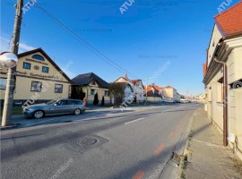 Vanzare casa/vila, Turnisor, Sibiu