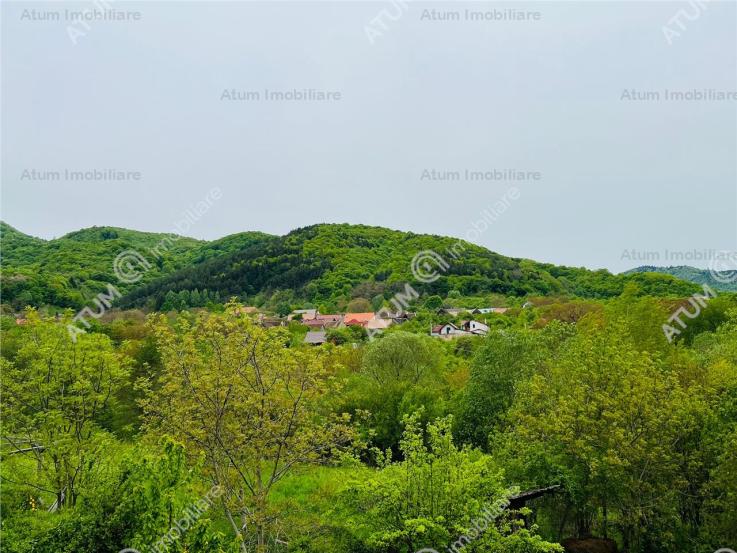 Vanzare casa/vila, Fantanele, Fantanele