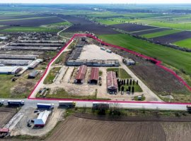 4,2 ha Teren DN7 Nădlac pentru Parc Logistic