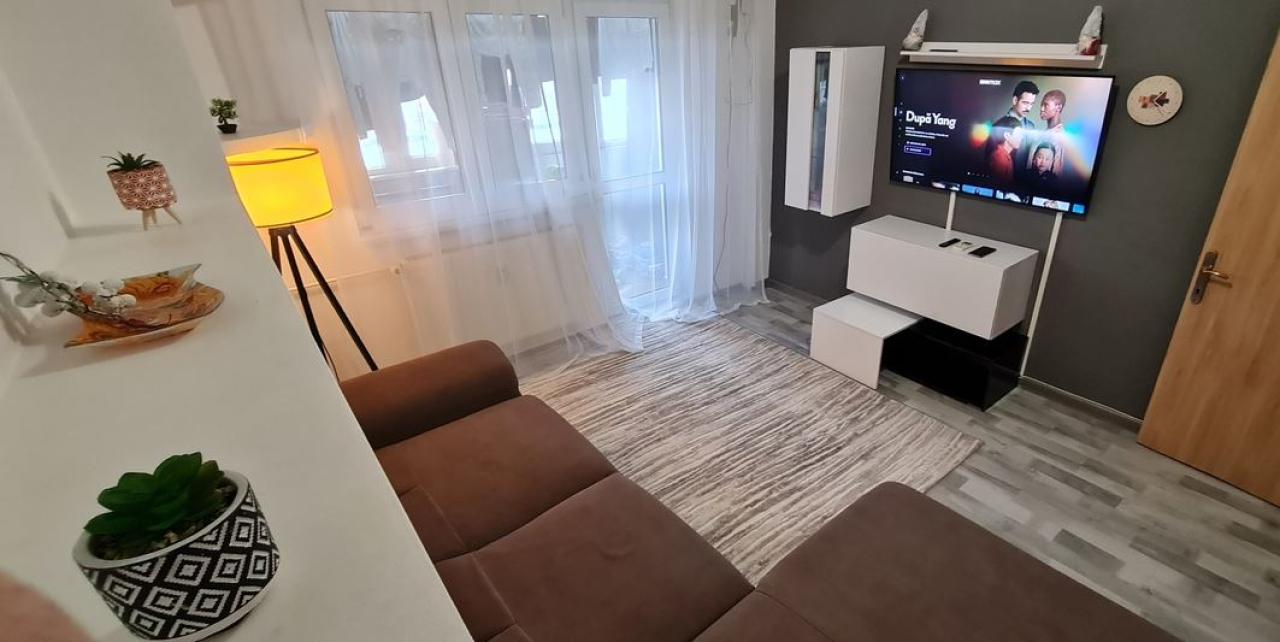 Apartament 2 camere Banu Manta / Pta Victoriei