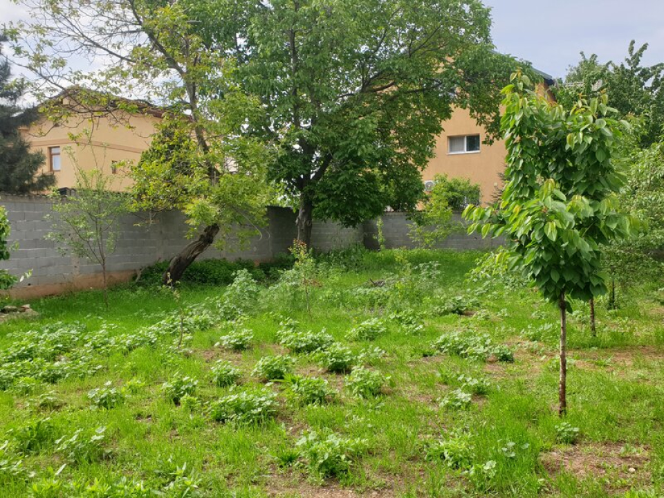 Teren casa de vanzare Intrarea Binelui, Turnu Magurele, Berceni