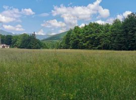 Teren intravilan de 5000, plat, orizontal la poalele muntelui, pe malul Doftanei