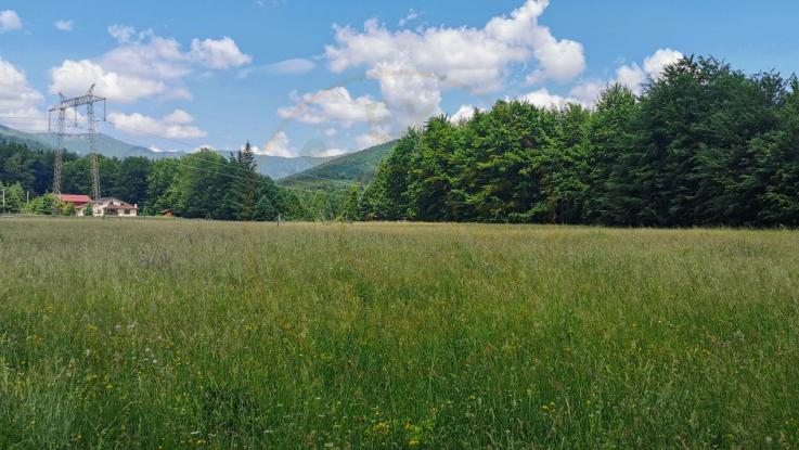 Teren intravilan de 5000, plat, orizontal la poalele muntelui, pe malul Doftanei