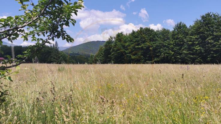 Teren intravilan de 5000, plat, orizontal la poalele muntelui, pe malul Doftanei