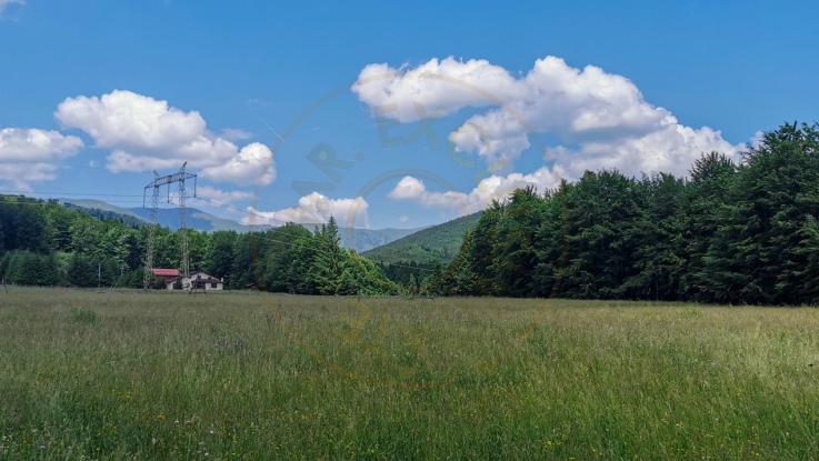 Teren intravilan de 5000, plat, orizontal la poalele muntelui, pe malul Doftanei