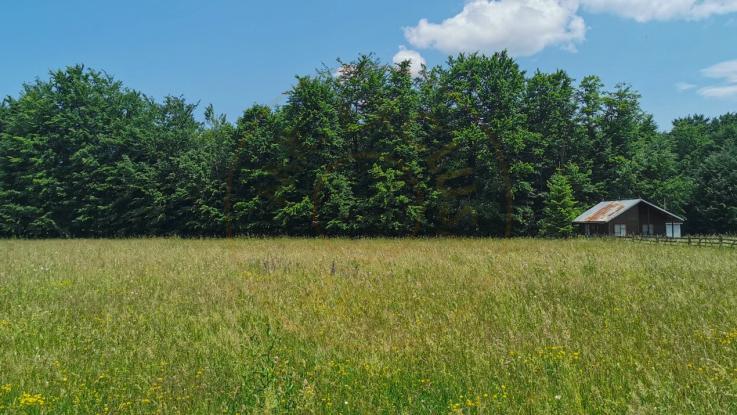 Teren intravilan de 5000, plat, orizontal la poalele muntelui, pe malul Doftanei