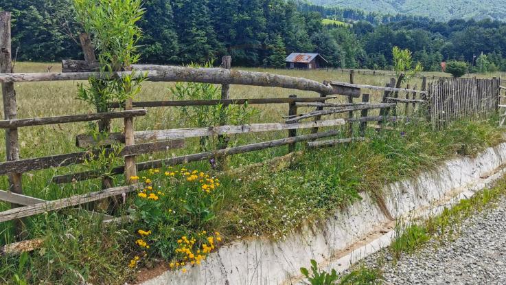 Teren intravilan de 5000, plat, orizontal la poalele muntelui, pe malul Doftanei