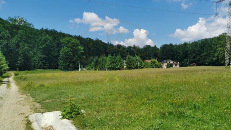 Teren intravilan de 5000, plat, orizontal la poalele muntelui, pe malul Doftanei