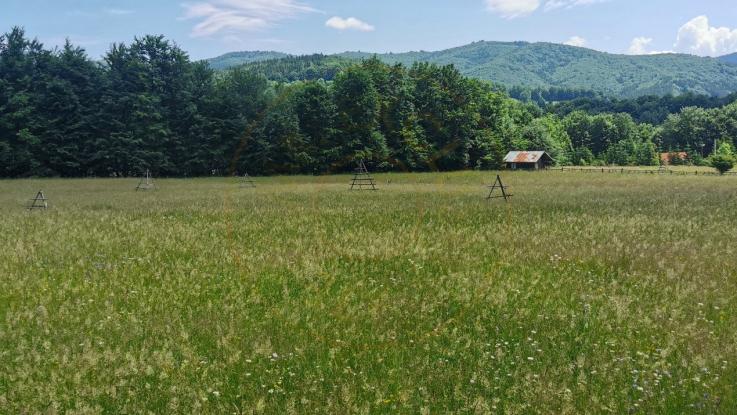 Teren intravilan de 5000, plat, orizontal la poalele muntelui, pe malul Doftanei