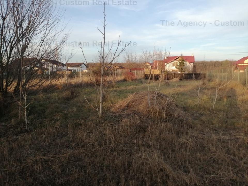 Teren constructive casa - 1000 mp , autorizatie -Snagov, Gradina Vlahiei